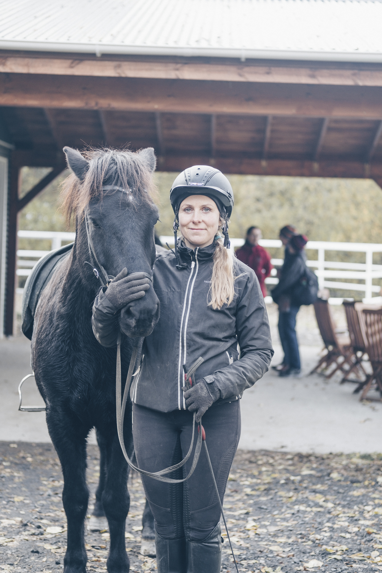Friðheimar Horse Farm