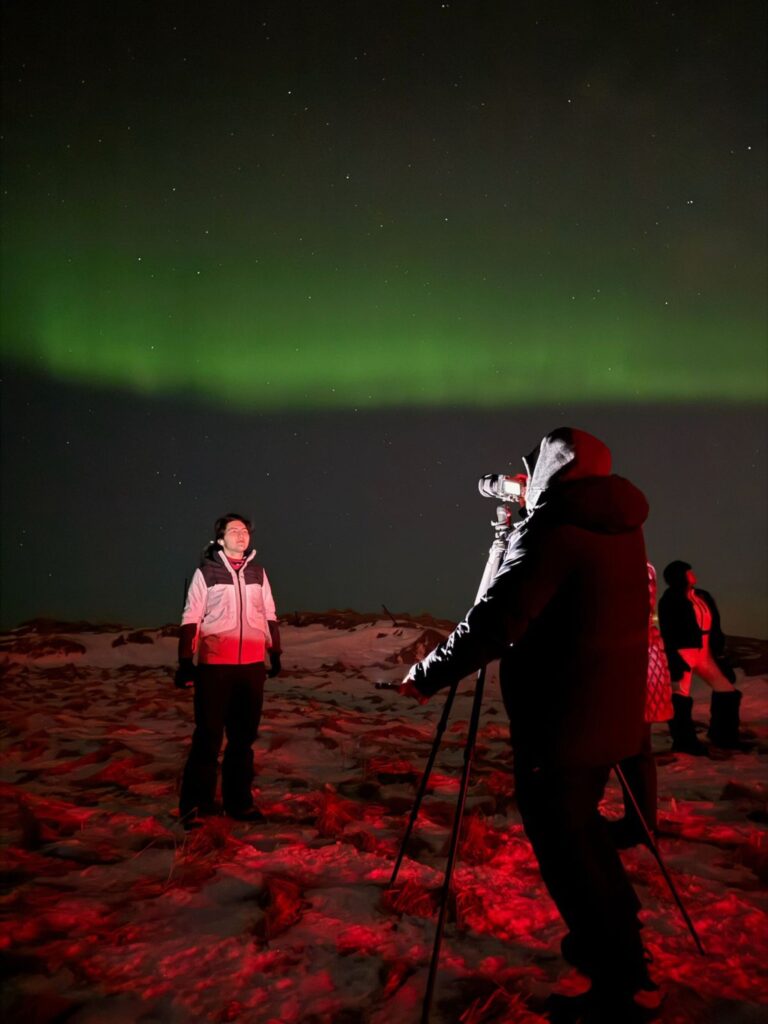 northern lights iceland tour