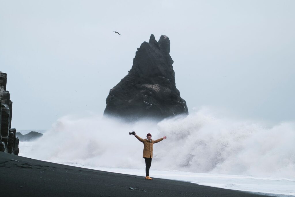 south coast day tour iceland