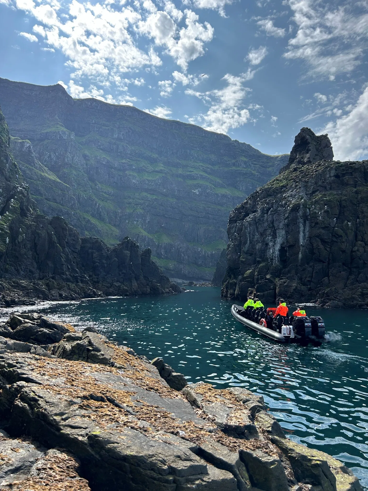 Puffin and nature rib safari in iceland