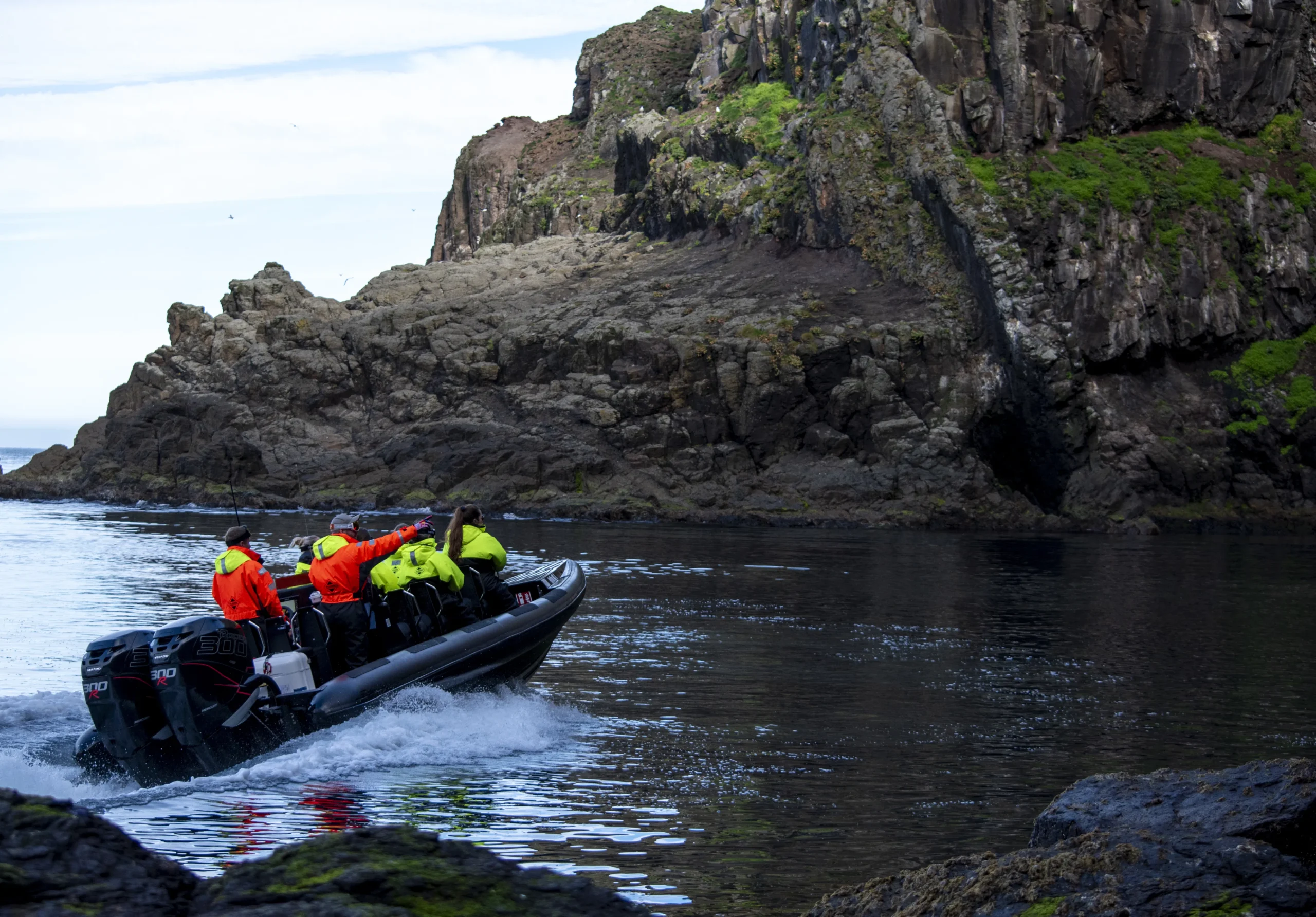 Puffin and nature rib safari in iceland